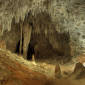 Ancient Microbes Evolved in Caves