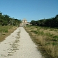 Ancient Road Built by Mayans Discovered in Hardened Ash
