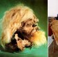 Ancient Salt Mummy Discovered in Iran