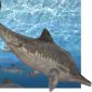 Ancient Marine Reptiles Moved Like Sharks
