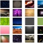 Android 2.1 Wallpapers Available for Download