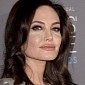 Angelina Jolie Has Ovaries, Fallopian Tubes Removed After Cancer Scare, Enters Menopause - NYT
