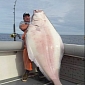 Angler Catches 231-Pound (104.8-Kg) Halibut, Decides to Keep It