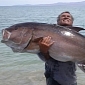 Anglers Catch Record Amberjack in Sea of Cortez, Eat It Before Weighing