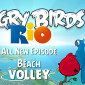 Angry Birds Rio Update in the Android Market Now