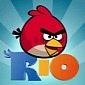 Angry Birds Rio for Android 1.5.0 Brings 24 New Levels, 20 Free Power-Ups