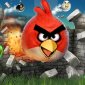 Angry Birds for Android Updated to 1.4.2