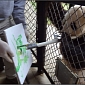 Animal Artists from ZOO Top Picasso