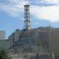 Animals Around Chernobyl Still Suffer Aftereffects