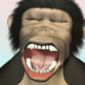 Animated Chimps Make Real Chimps Yawn