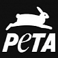 Anonymous Hackers Target PETA for Intention to Sue Article Commenters