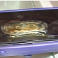 Another iPhone Bursts into Flames