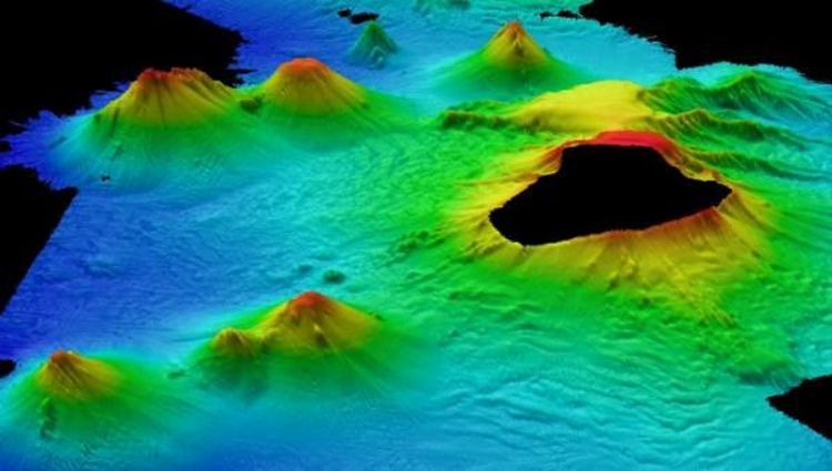 Antarctic Hydrothermal Vents Reveals New Species Communities