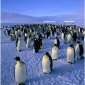 Antarctica to the Extremes