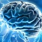 Antipsychotic Drugs Argued to Make the Brain Shrink