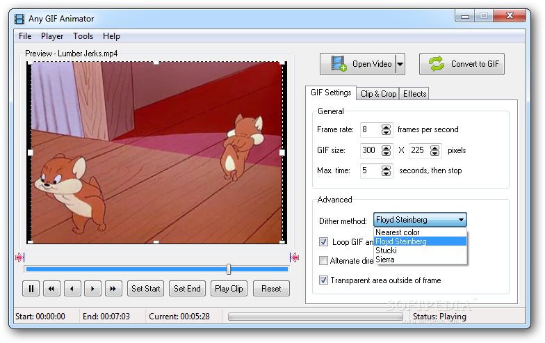Video to GIF conversion with Easy GIF Animator, convert AVI to GIF file