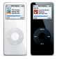 Apple's Position on the iPod nano Displays