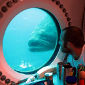 Aquanauts Shed Light on Life in the Depths
