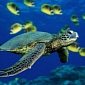 Aquatic Biodiversity Now Threatened with Major Extinction Risk