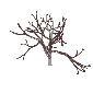 Render, Explore and Modify Your Own Tree