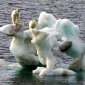 Arctic Ice Is Melting Three Times Faster Than Computer Models Say