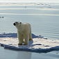 Arctic Seas Are Acidifying at Alarming Rates, Specialists Warn