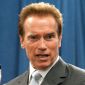 Arnold Schwarzenegger Puts Acting Comeback on Hold After Scandal
