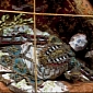 Art Historian Finds Religious Martyrs' Jewel-Encrusted Skeletons