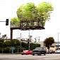 Art Project Brings Floating Forests to LA