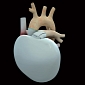 Artificial Heart Based on Space Technology Enters Testing