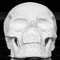 Artist Builds Life-Size Human Skull from Cocaine