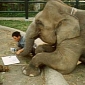 Asian Elephant Speaks Korean, Communicates with Its Handlers