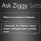 Ask Ziggy, Windows Phone’s Equivalent of Siri