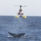 Assessing Whale Health with RC Helicopters