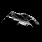 Asteroid Lutetia May Still Retain a Molten Core