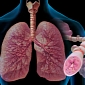 Asthma More Common Among Children Born to Mothers Exposed to Pollutants