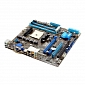 Asus Outs New Micro-ATX Motherboard for AMD Llano APUs