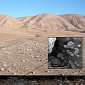 Atacama Reveals Treasure Trove of Life