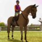Atari - 'My Horse and Me' for Wii, DS and PC