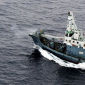 Australia Calls Japan to Court Over Whaling