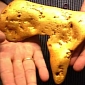 Australian Man Finds 12 Pound (5.5 Kg) Gold Nugget Worth $300,000 (€224,000)