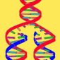 Australian Scientists Crack DNA Replication Mystery