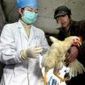 Avian Flu - One Step Away From The World's Largest Epidemic