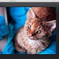 Awesome Photo Editor ‘Snapseed’ Ported to Mac OS X