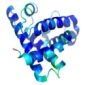 BNL Devises Precise Zinc-Transport-Protein Viewing Method