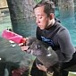 Baby Manatee Abandoned by Its Mom Is Raised by Zoo Staff