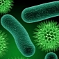 Bacteria-Killing Textiles Can Prevent Hospital Infections