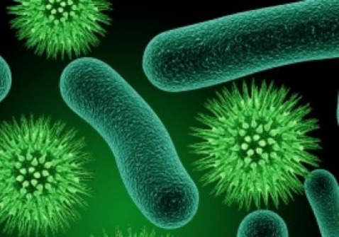 Bacteria-Killing Textiles Can Prevent Hospital Infections