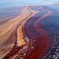 Bacteria That Consumed Spilled Gas in the Gulf Spill Found