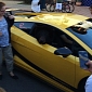 Bear Rides in Style in Yellow Lamborghini – Photo